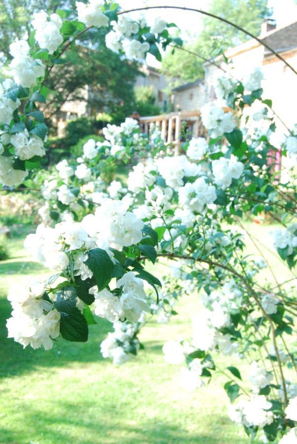 Bed and Breakfast La Freiressa Saint-Jean-des-Ollieres Екстер'єр фото